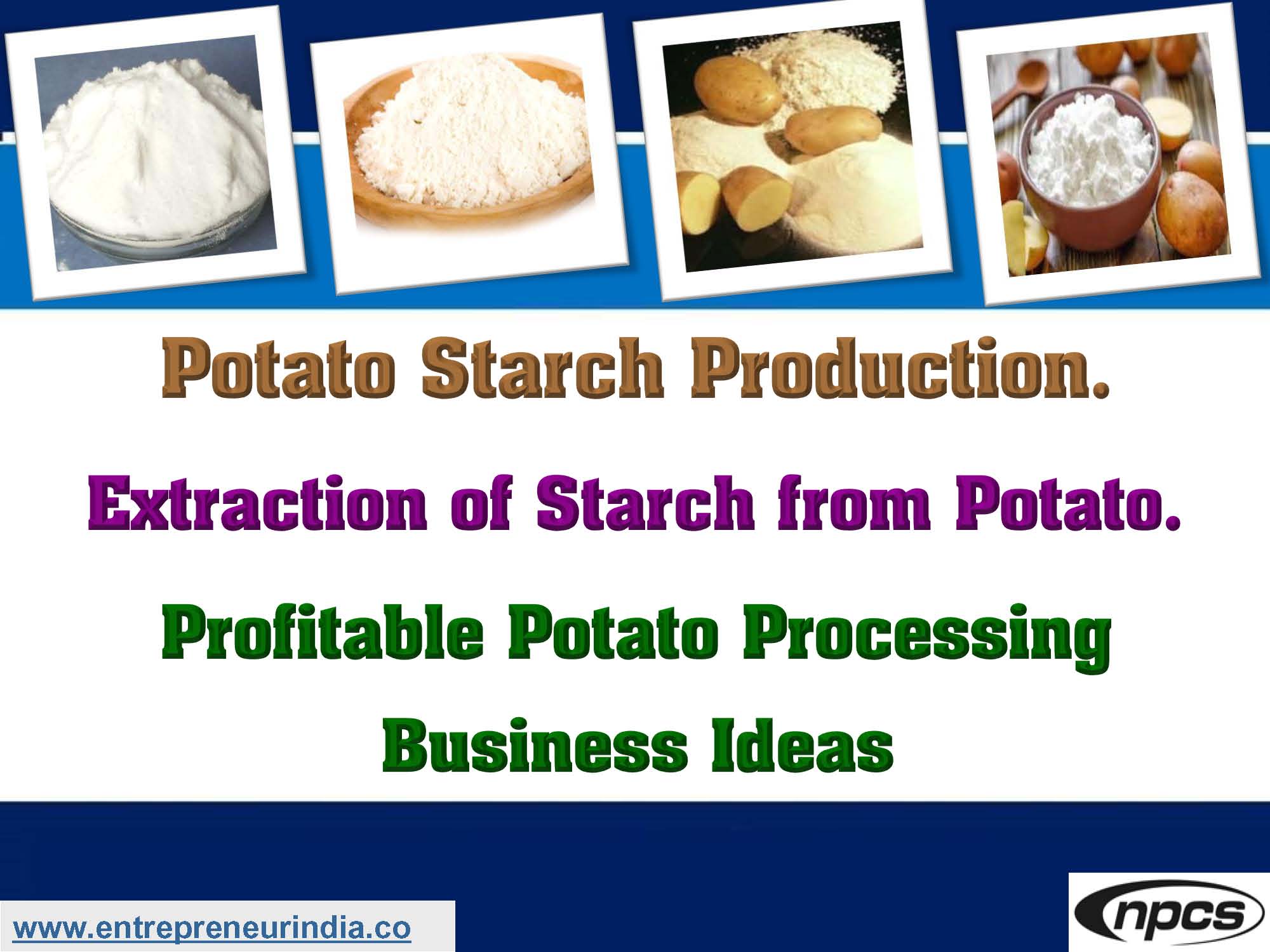 Potato Starch Production NIIR Blog