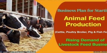 Business Plan for Starting Animal Feed Production.