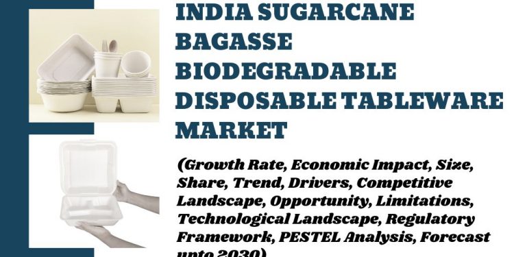 Why Bagasse Tableware Is Popular