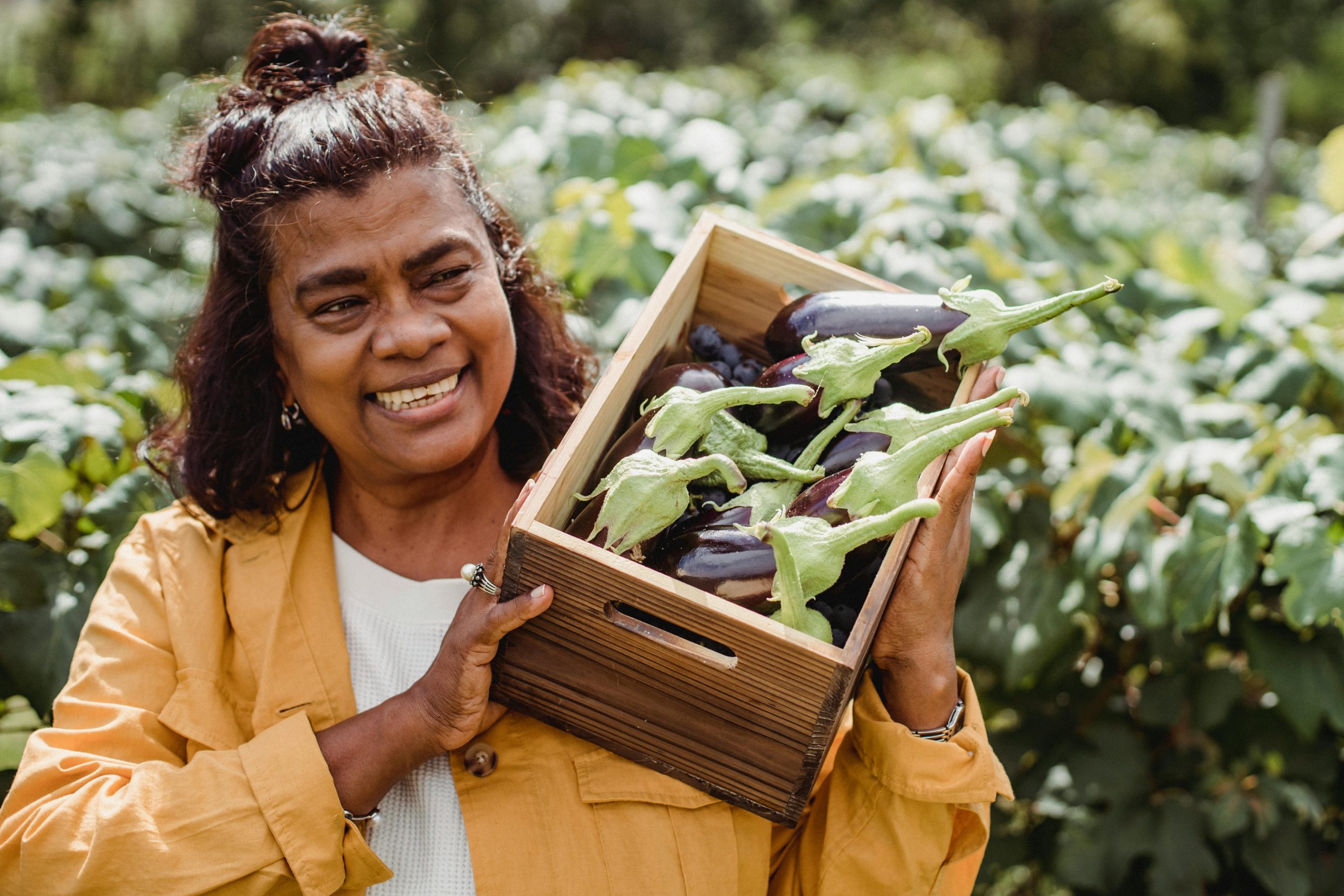 Agricultural Business