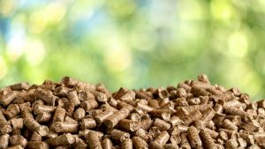 Biomass Pellets from Bio Waste