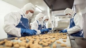 List of 33 Profitable Food Manufacturing Business Plans