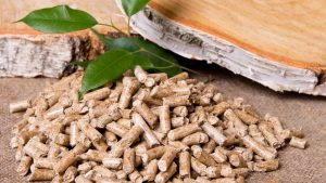 The Cost of Starting a Biomass Pellets from Bio Waste Manufacturing Business