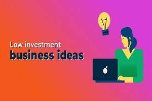 Low-Investment Manufacturing Business