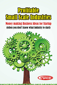 Profitable Small Scale Industries- Money making Business Ideas for Startup (when you don’t know what industry to start)-2nd  Revised Edition